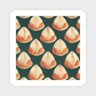 Vintage Seashells III Magnet