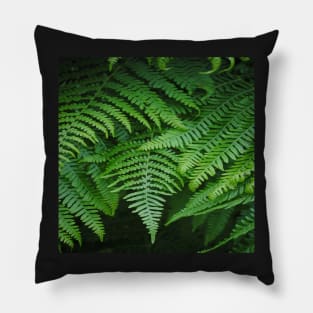 botanical rainforest foliage tropical fern leaf Pillow