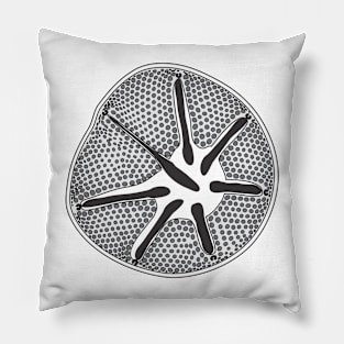 Diatom - Asteromphalus - Artwork Pillow