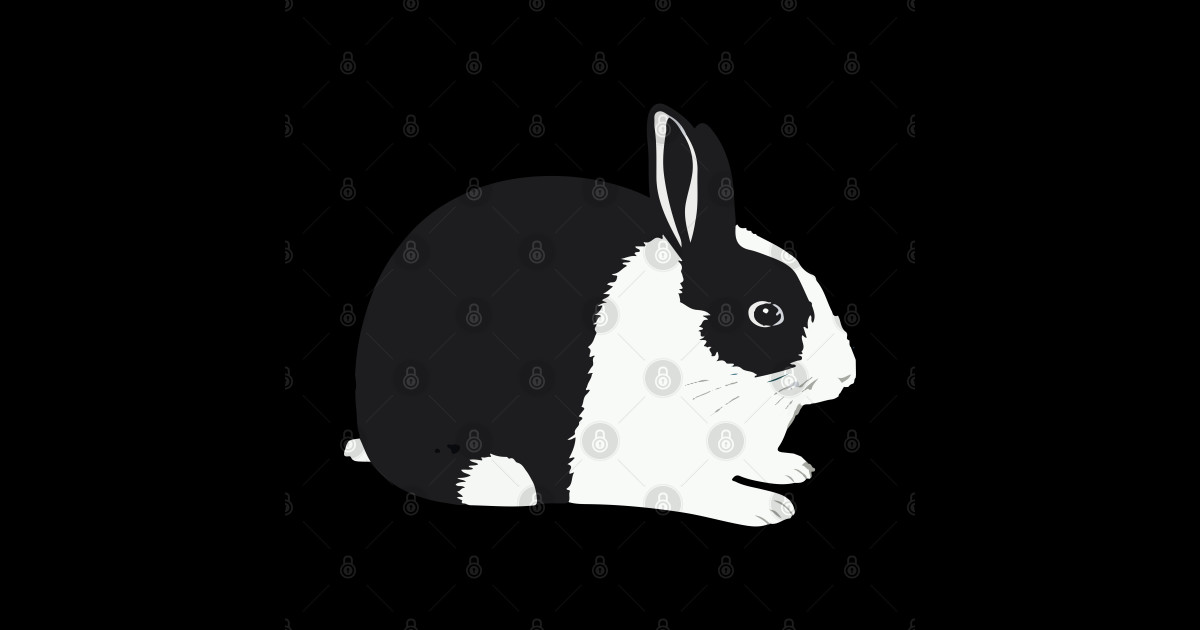 Black Dutch Rabbit Chubby Bun Lady Mom Birthday - Dutch Rabbit ...