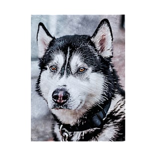 Husky Artistic Painting T-Shirt