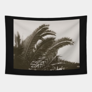 Black And White Palm Tapestry