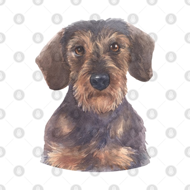 Wirehair Miniature Dachshund Watercolor Art by doglovershirts