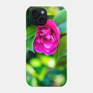 Beautiful Pink Rose in Bloom Phone Case