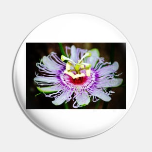 Passion Flower Pin