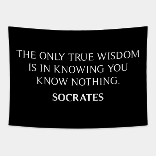 Socrates Quote Tapestry