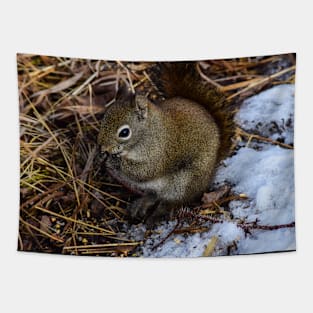 Red Squirrel. Tapestry