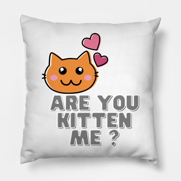 Are You Kitten Me Pillow by Clothing Spot 