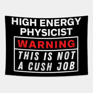 High energy physicist Warning this is not a cush job Tapestry