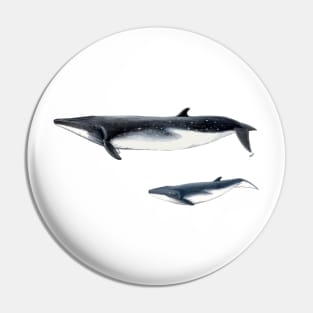 Bryde´s whale with baby whale Pin