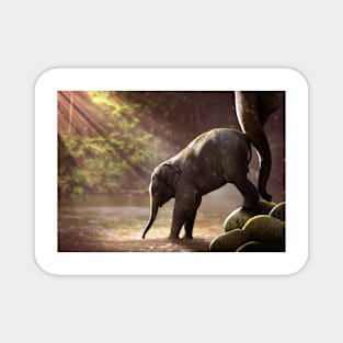 Baby Elephant Magnet