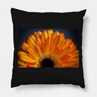 Orange Gerbera Flower Pillow