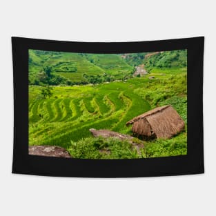 Rice Terraces. Tapestry