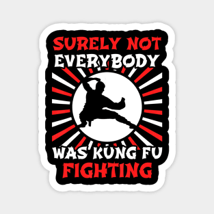 Surely Not Everybody Was Kung Fu Fighting Magnet