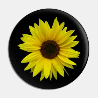 sunflower, sunflowers, bloom, summer, flower Pin