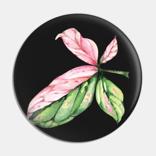 Syngonium Pink Splash Leaf Pin
