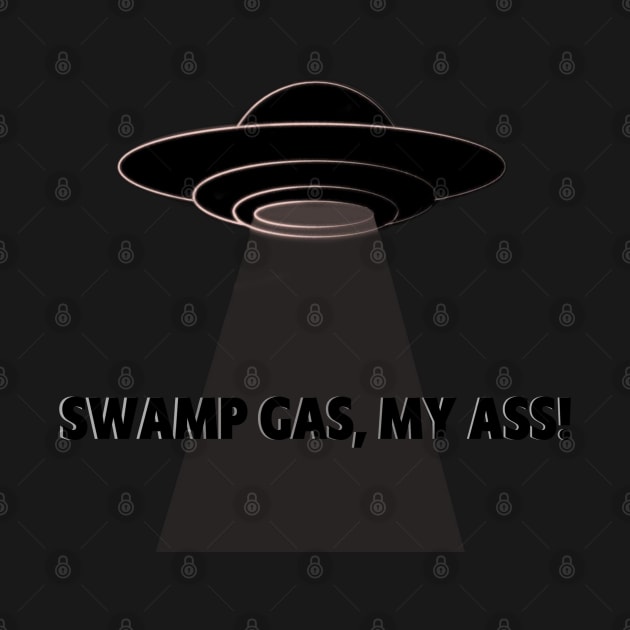 Swamp Gas by vhsisntdead