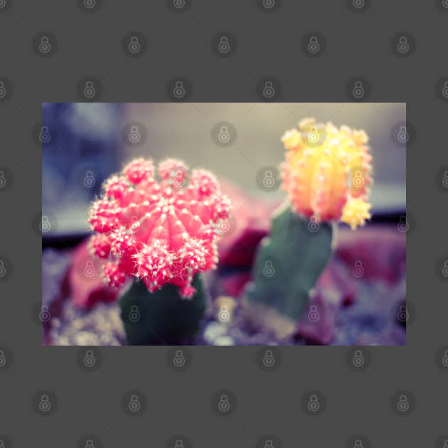 Funny cactuses by CreativeJourney