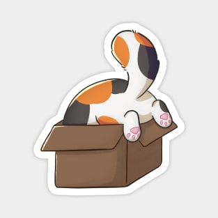 Funny And Cute Calico Cat In Box Magnet