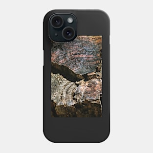 Petrified Forest Abstract Phone Case