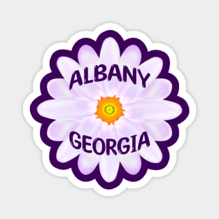 Albany Georgia Magnet