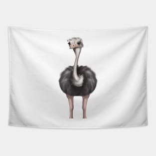 Cute Ostrich Drawing Tapestry