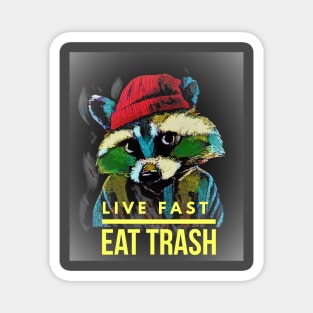 Live Fast, Eat Trash (Raccoon) Magnet