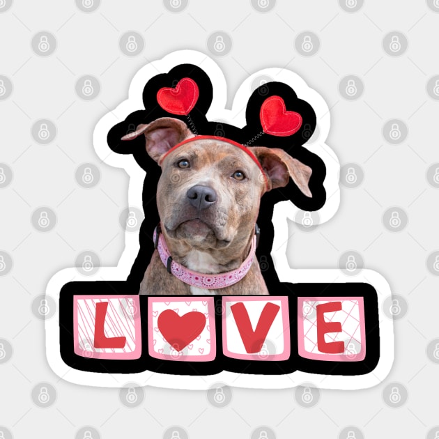 Pitbull Valentine Magnet by TempoTees