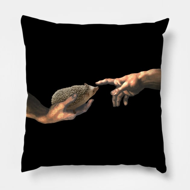 creation of a Hedgehog - michelangelo's parody Pillow by FandomizedRose