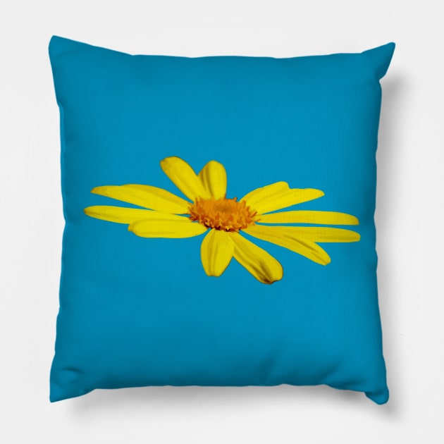 Floating Butterfly Marguerite Daisy Pillow by taiche