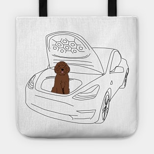 Labradoodle in a Tesla Model 3 Frunk Tote