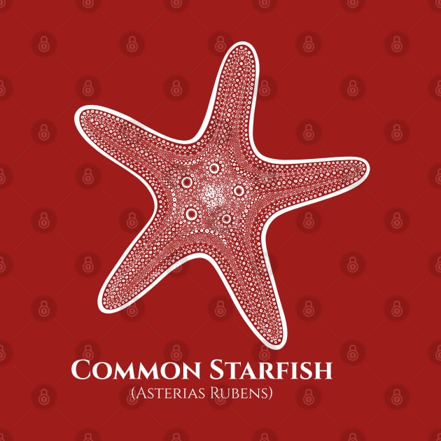 Common Starfish with Common and Scientific Names - beach design by Green Paladin