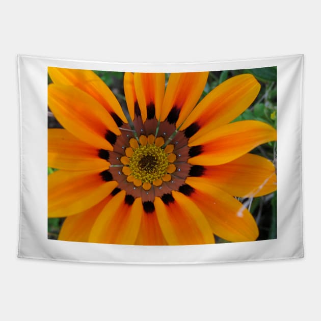 Gazania 8 Tapestry by Heatherian