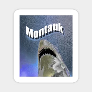 Montauk-Shark Magnet