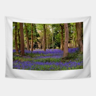 Bluebells Bluebell Woods Basildon Park Berkshire Tapestry