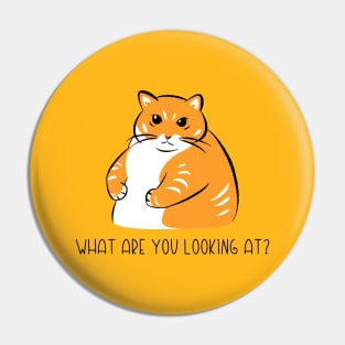 What are you Looking at? Pin