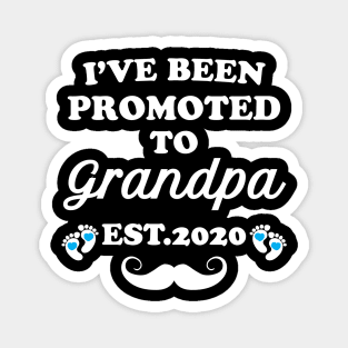 I have been promoted to Grandpa 2020 Magnet