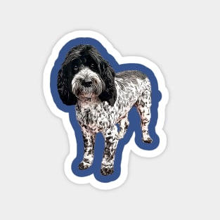 Cockapoo Cockerpoo Spoodle Blue Roan Magnet