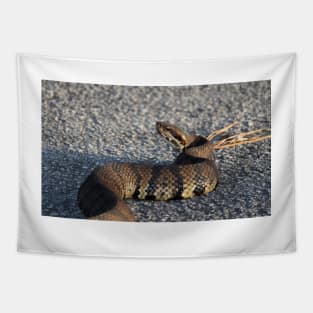 Cottonmouth Stare Tapestry