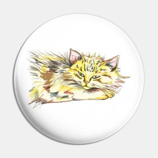 Playful Kitten Pin