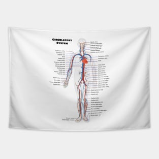 Human Circulatoy System Chart Tapestry