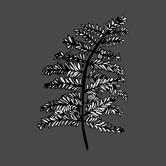 fern leaf by nfrenette