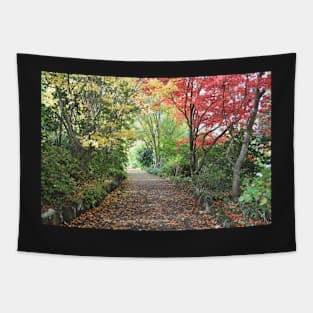 Autumn Pathway Tapestry