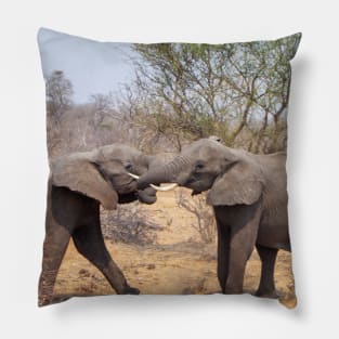 Two African Elephants Fighting with Trunks Pillow