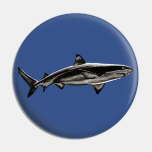 Blacktip reef shark Pin