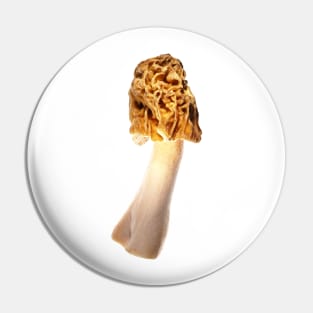 Early morel (Verpa bohemica) Pin