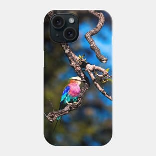 Beautiful bird Phone Case