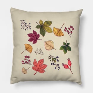 It's fall again! Pillow