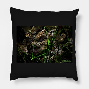 Gargoyle in the Garden Pillow