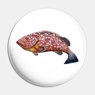 Dusky grouper Pin